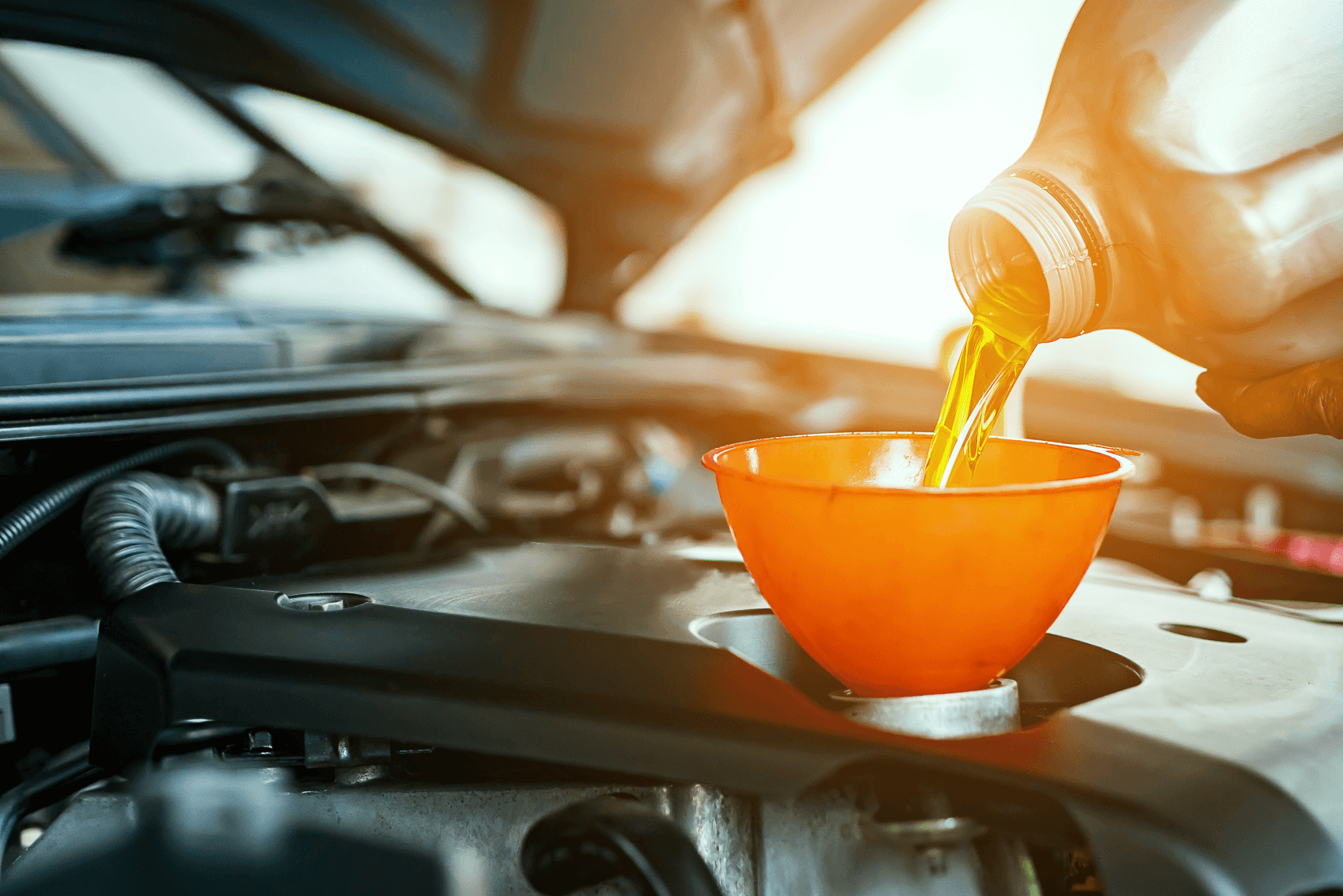 Changing the Oil of a Volkswagen